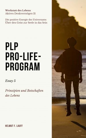 PLP-5-Essay Prinzipien
